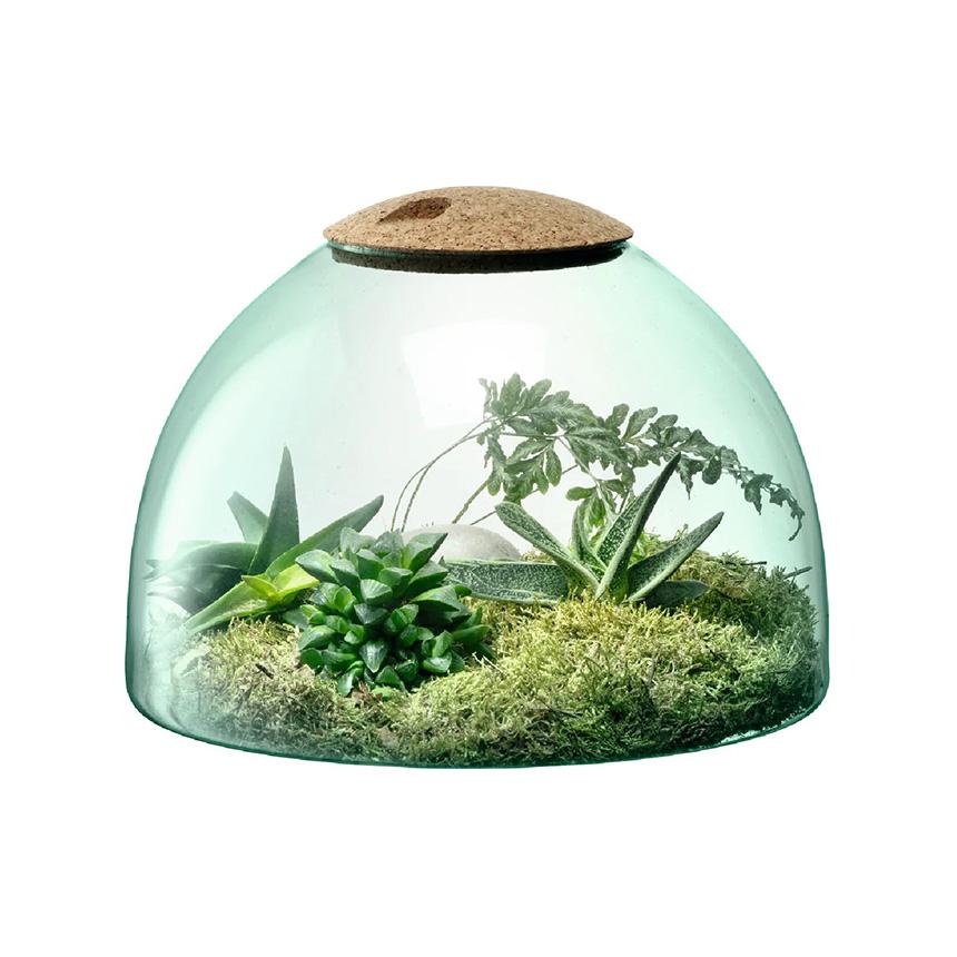ハイドロカルチャー LSA International ガラスドーム Canopy キャノピー Closed Garden Clear H22cm クリア_2