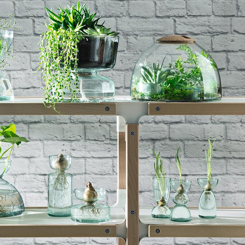 ハイドロカルチャー LSA International ガラスドーム Canopy キャノピー Closed Garden Clear H22cm クリア_4