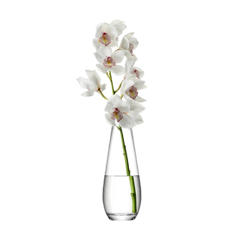 【在庫セール】LSA ガラス/スチール フラワーベース オブジェ 高さ22cm 在庫セール】LSA ガラス/スチール フラワーベース オブジェ 高さ22cm