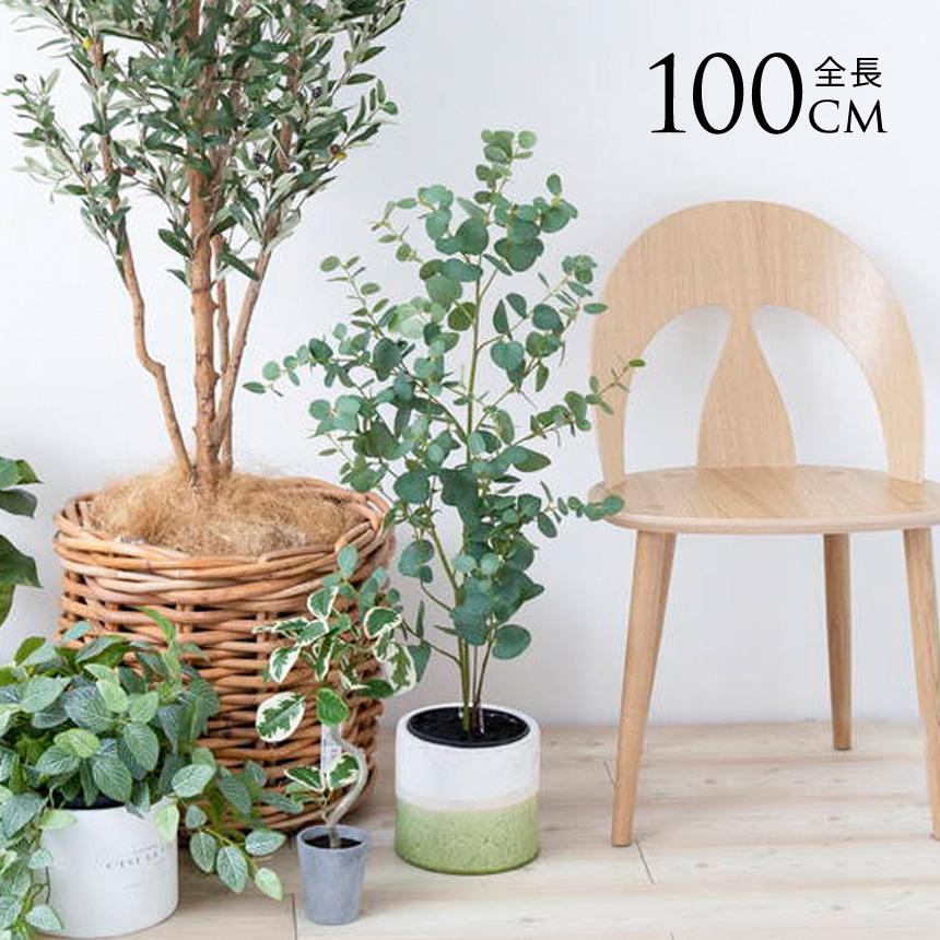 フェイクグリーン(観葉植物) 鉢付き フェイクグリーン 鉢植え 観葉植物 鉢付き ポット ユーカリ ツリー