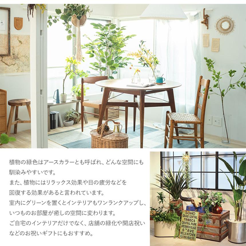 フェイクグリーン 鉢植え 観葉植物 鉢付き ポット ドウダン 高さ210cm
