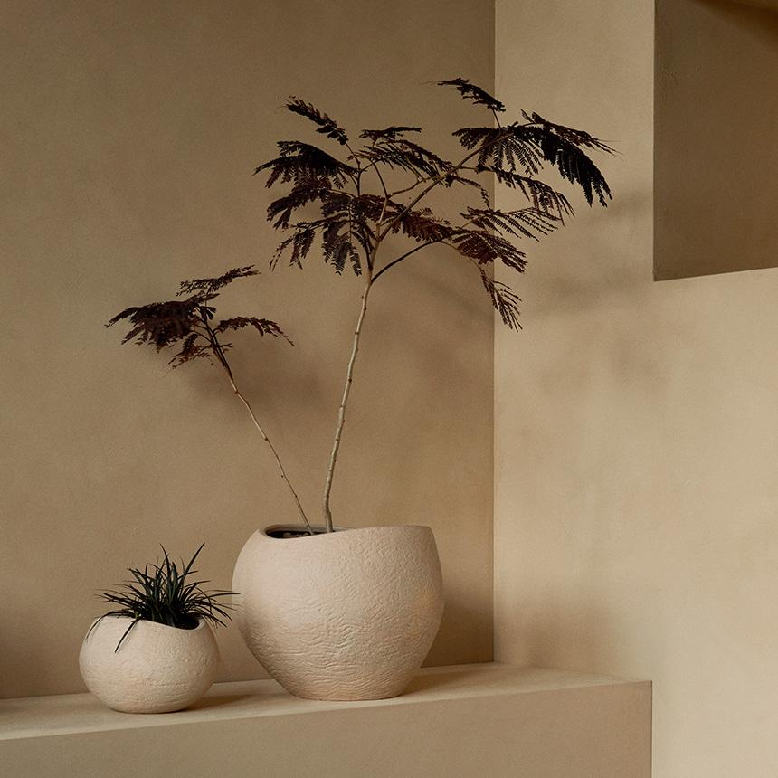 アイボリー プランター 鉢カバー　陶器　観葉植物 楽天市場】鉢カバー プランターカバー おしゃれ 人気 観葉植物