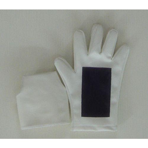 機動戦士ガンダムSEED DESTINY ザフト軍パイロットスーツ コスプレ衣装