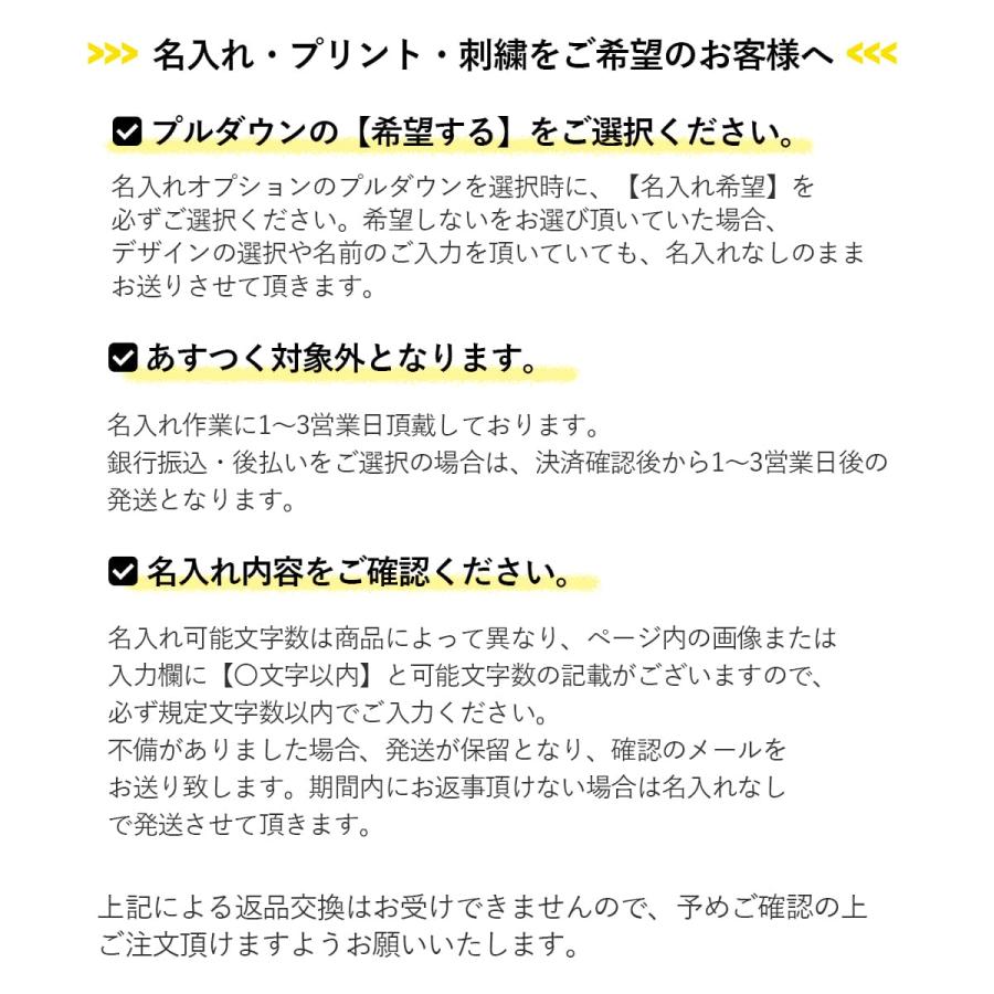 ANNA SUI（アナスイ） ミラー 鏡 ラグジュアリー ビューティー 正規品