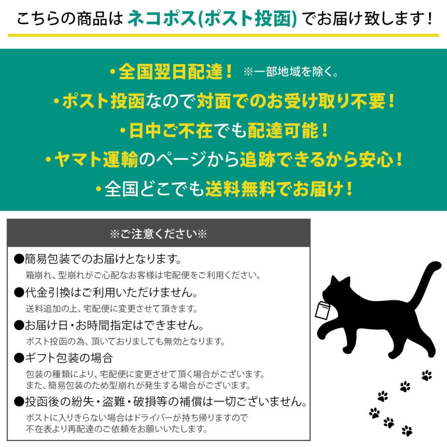 ディーン＆デルーカ バッグ エコバッグ ショッピングバッグ 折りたたみ 正規品 京都限定カラー ビニールバッグ ナイロンバッグ お買い物バッグ コンパクト｜garlandstore｜10