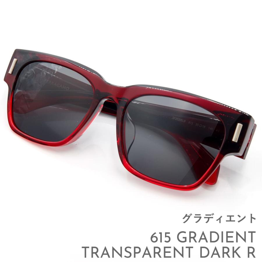 Ferragamo フェラガモ サングラス SF2020SLB 55サイズ ユニセックス