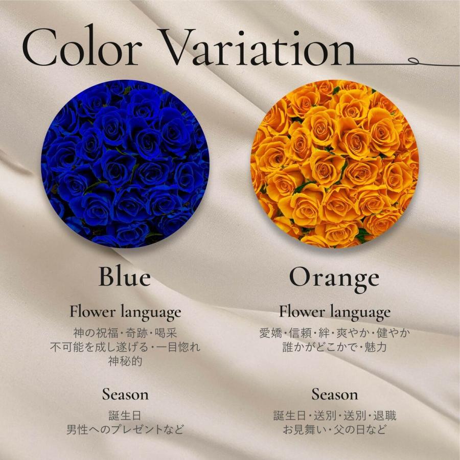 ピンバッジ 3個セット ジョンレノン 楽天市場】JOHN LENNON ジョン