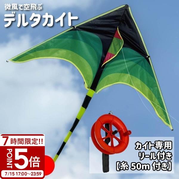 カイト 子ども 凧 凧揚げ 紐 リール付属 200cm パラフォイルカイト 骨