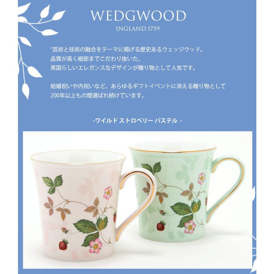 秀逸 ウェッジウッド 食器 結婚祝い プレゼント マグカップ セット 柄 ワイルド ストロベリー パステル マグ ピンク グリーン ペア 300ml 正規紙袋付き ギフト Minutomotor Com Br