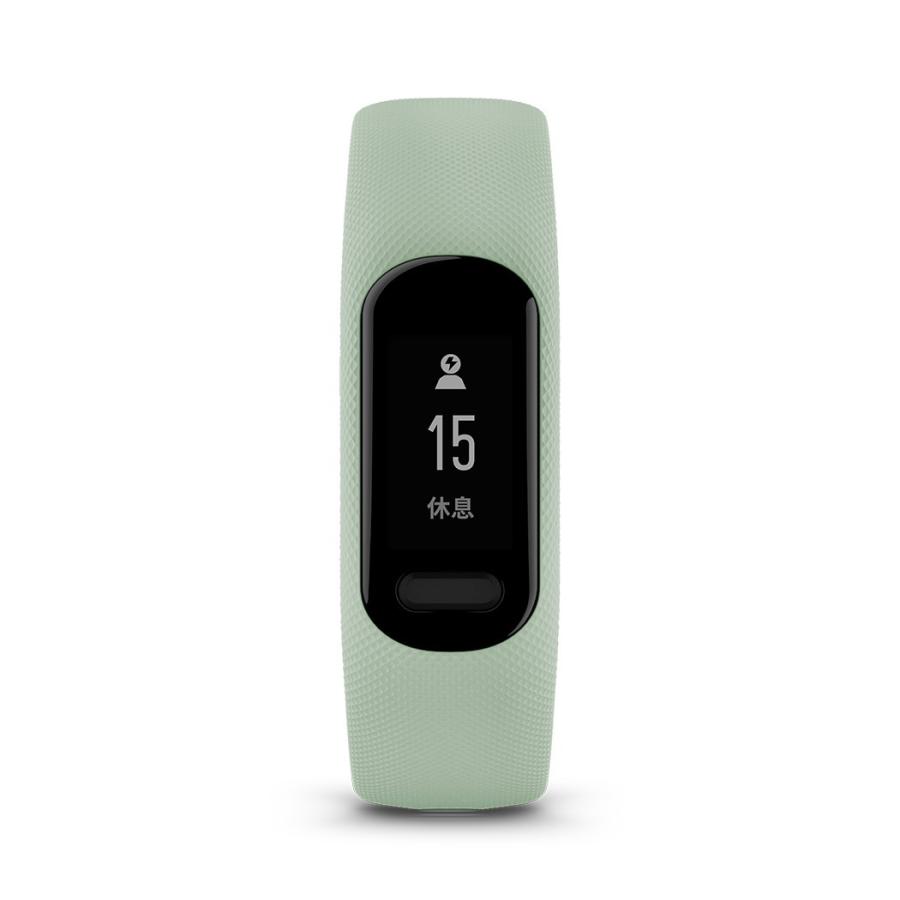 GARMIN(ガーミン) 公式 vivosmart 5 Mint S/M バンド型スマートウォッチ 【日本正規品】の画像