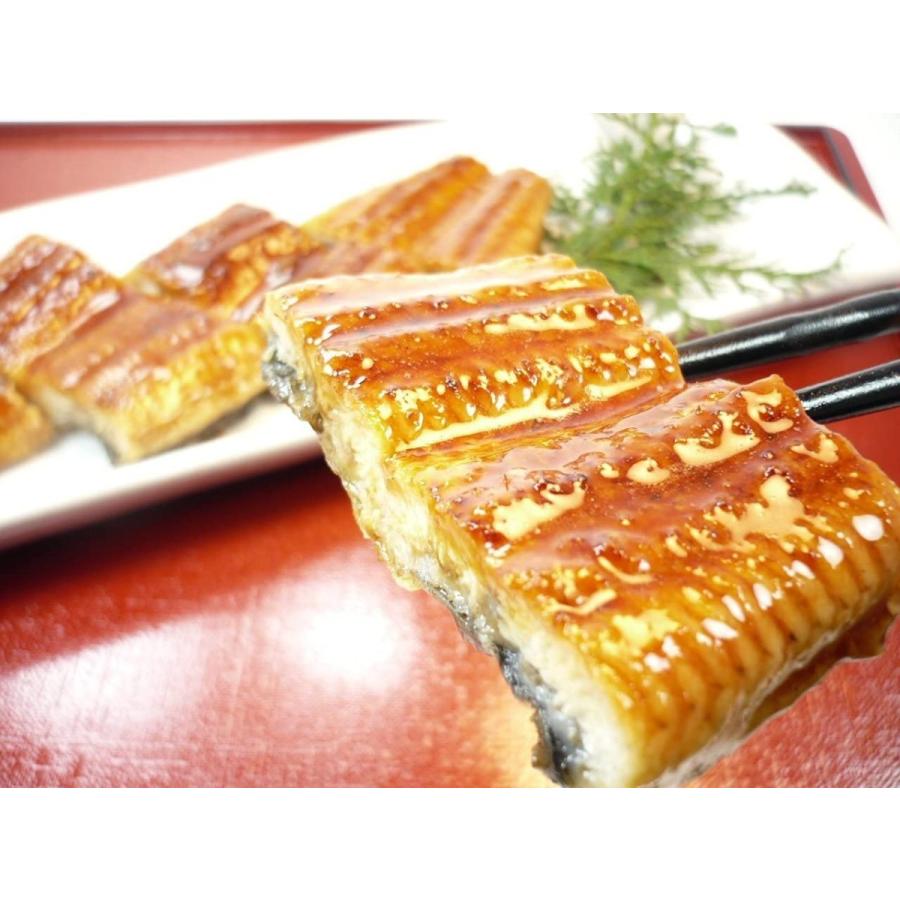 うなぎ蒲焼 ふっくら炭火焼き 特大鰻 ２尾 蒲焼のタレ 山椒付き 約250ｇサイズ ２本 うなぎ蒲焼長焼２本 ウナギ 鰻 Www Nawabbuzz Com