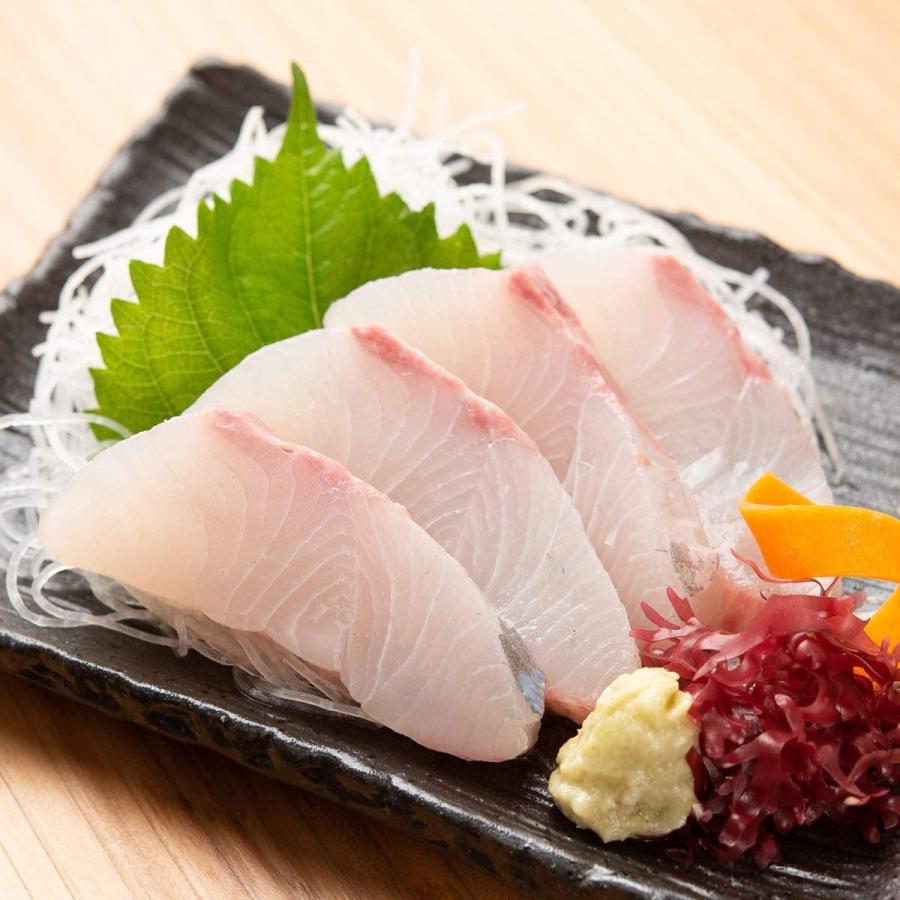 代引き人気 お刺身用短冊6種セット 生マグロ カンパチ 真鯛 平目 生サーモン タルイカ 魚介類 海産物 Hermandad Estrella Org