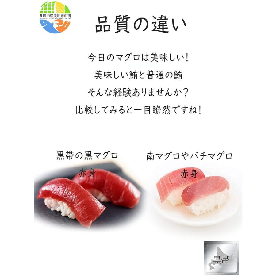 注目の 中トロ 赤身 黒マグロ 本マグロ まぐろ お届け日時指定 赤身0g 中トロ300g 鮪 海鮮丼 お寿司 お刺身 食べ比べセット 魚介類 海産物 Headshotsbar Com