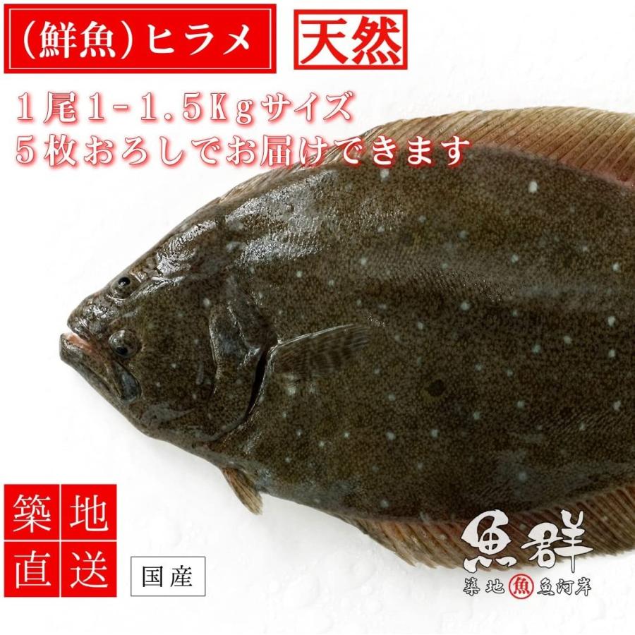 純正クリアランス 築地魚群 天然 ヒラメ1尾 国産 1 1 5kg前後サイズ 007 Shareshop 通販 Yahoo ショッピング 限定価格送料無料 Blog Beautyclass Tv