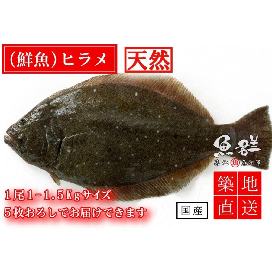 純正クリアランス 築地魚群 天然 ヒラメ1尾 国産 1 1 5kg前後サイズ 007 Shareshop 通販 Yahoo ショッピング 限定価格送料無料 Blog Beautyclass Tv
