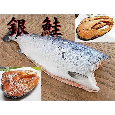 定番の中古商品 銀鮭 1尾入 振り塩 銀鮭 魚介類 海産物