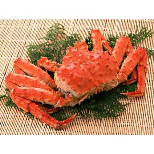 Garnet Online 本タラバガニ ボイル冷凍 姿 姿 カニ 3 5kg前後 3 5kg前後