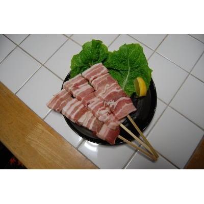 適当な価格 イベントにバーベキューに最適 冷凍発送豪快ボリュームジャンボ豚バラ串1本100g 50本 豚肉 Meorboston Org