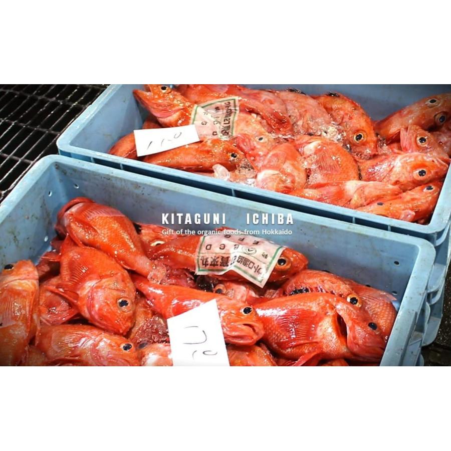 激安商品 北海道知床産 本場の高級魚きんき一夜干し 一枚3g前後世界遺産の知床 創業昭和8年の知床工房が独自の製法で魚介の旨みを最大限に引き出した 魚介類 海産物 Postetelecom Gouv Cg