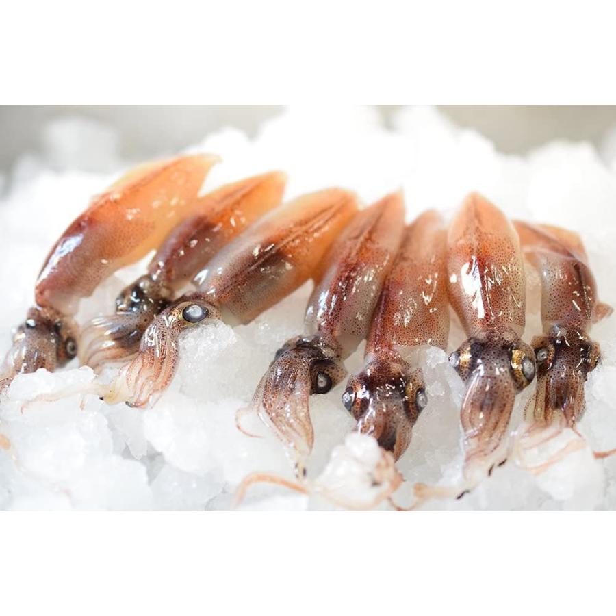 東京468 Cas冷凍 ホタルイカ ほたるいか 蛍烏賊 生食可1p 10匹富山県産冷凍品 冷蔵 常温品との同梱不可 Garnet Online 通販 Yahoo ショッピング