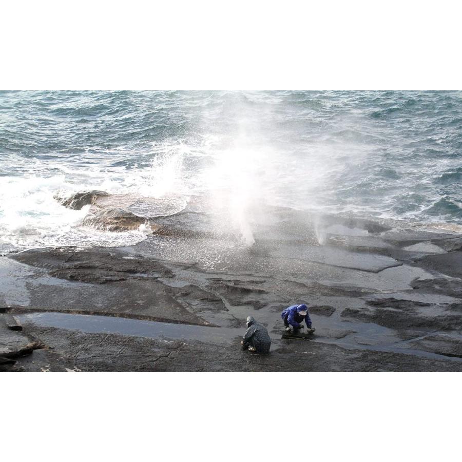 2月 収穫十六島海苔 うっぷるいのり 10g 5袋セット 天然岩のり 島根県出雲市産 Garnet Online 通販 Yahoo ショッピング