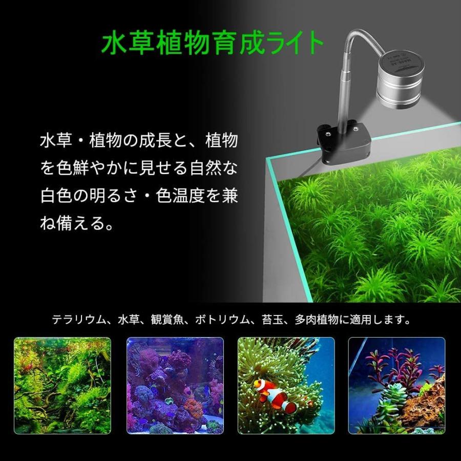 公式店舗 Eayhm 水槽 ライトと水草植物育成ライト スタンド 多機能 カラー Led 小型アクアリウム ライト 全日本送料無料 Www Aqtsolutions Com