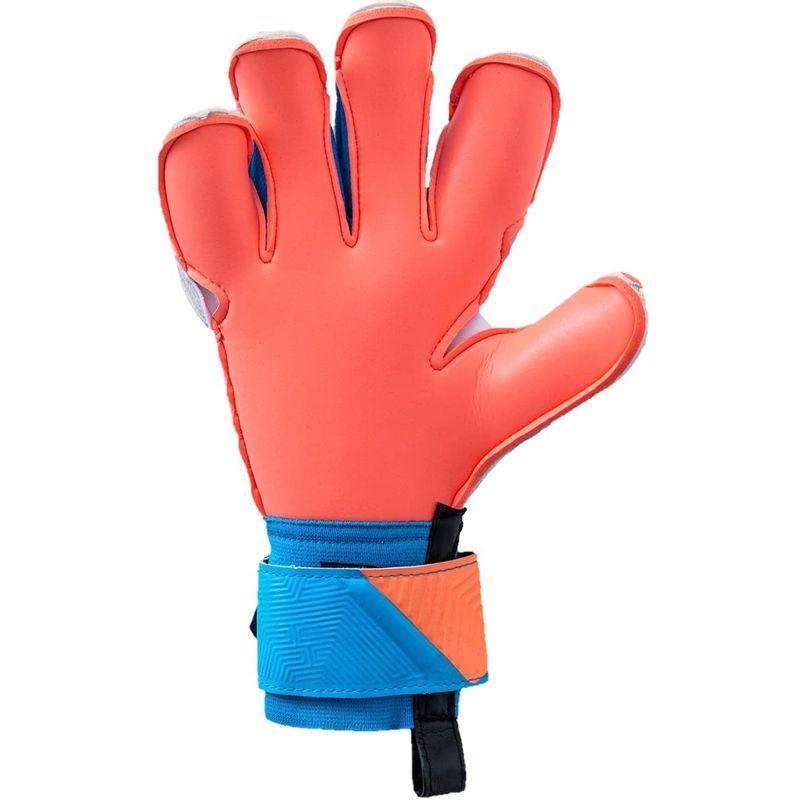 HO SOCCER ゴールキーパーグローブ 51.0962 エスクドー 2 ロールゲッコー ショックブルー 8 HO SOCCER ゴールキーパーグローブ エスクドー ロールゲッコー ショックブルー