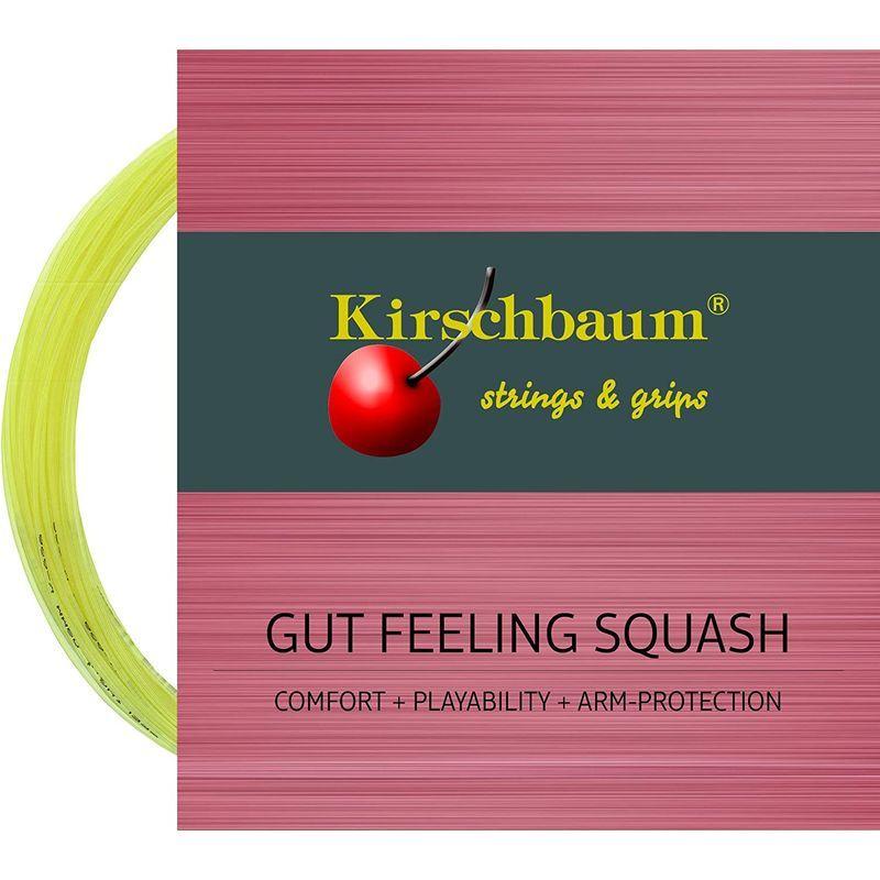 13325円 【SALE／55%OFF】 Kirschbaum キルシュバウム スカッシュストリング ガットフィーリング スカッシュ Gut Feeling Squash GF1
