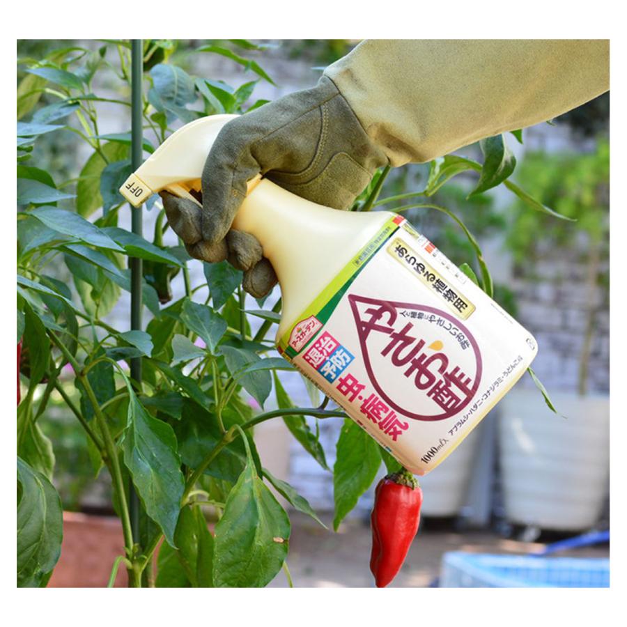 殺虫殺菌剤 アースガーデン やさお酢 1000ml がるてん市場 通販 Yahoo ショッピング