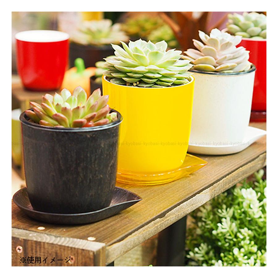 インドアポット 大和プラスチック Pon P-3号 グレー 直径9cm×高さ9.6cm|garten-ichiba|02