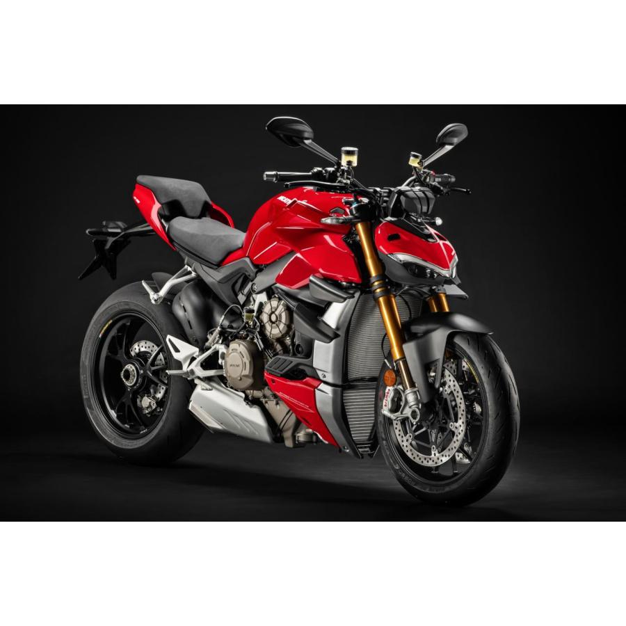 bitubo ビチューボ ドゥカティ Panigale STREETFIGHTER V4 899 959Panigle用 フロント・インナーカートリッジ D0042EBH09 パニガーレ ストリートファイターV4