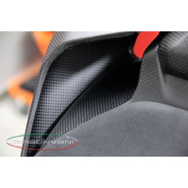 PANIGALE 1199 / テールカウル　右用 / RH SIDE TAIL / カーボン製・CARBONVANI(カーボンバーニ)DUCATI・PANIGALE 1199 ドゥカティ_3