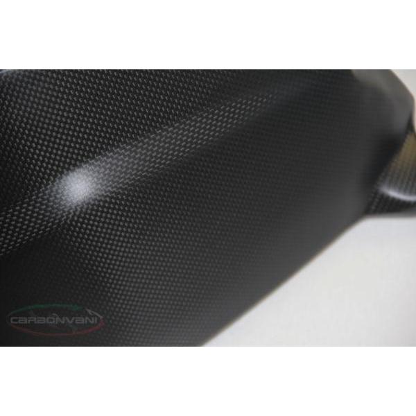 PANIGALE 1199 / スイングアームガード カーボン製・CARBONVANI