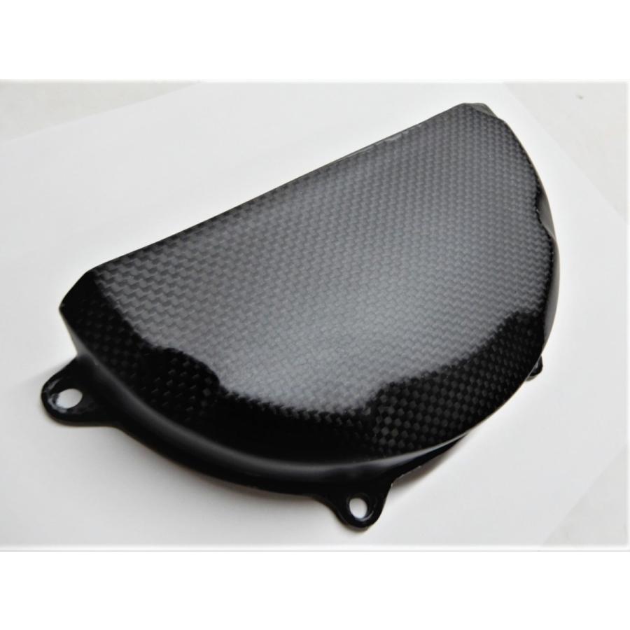 専用画面 ドゥカティ（DUCATI） 1199パニガーレSトリコローレ | 1199 Panigale S