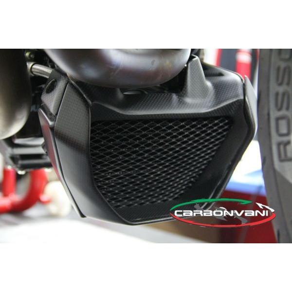 モンスター1200 MY17~：オイルクーラーガード(A+B) / カーボン製・CARBONVANI(カーボンバーニ)DUCATI・MONSTER1200：2017〜 ドゥカティの画像
