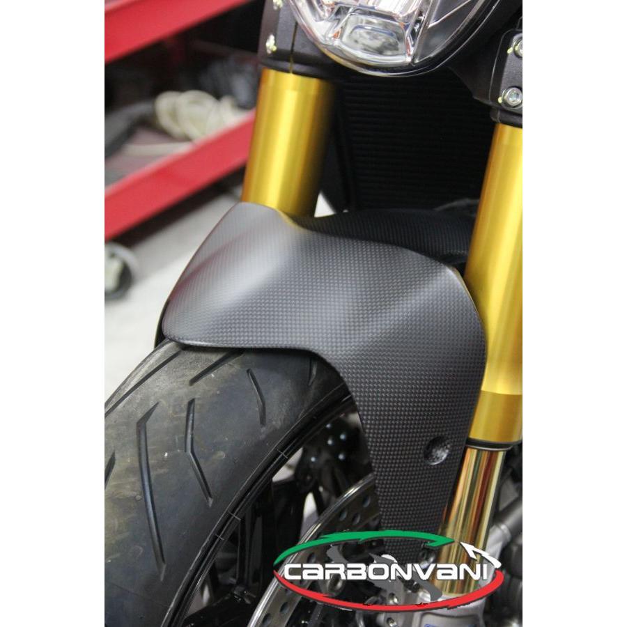 モンスター 797：フロント・フェンダー：カーボン製・CARBONVANI(：カーボンバーニ)DUCATI・MONSTER797： ドゥカティ_5