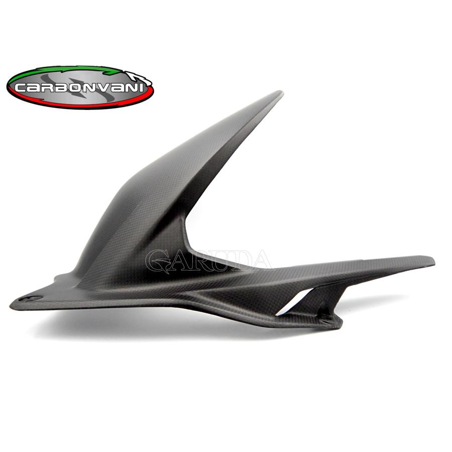 PANIGALE V4.V4S 2025：リアフェンダー / カーボン製・CARBONVANI