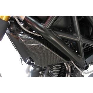 384 SPEEDCARBON オイルクーラーガードセット MONSTER1100,MONSTER696