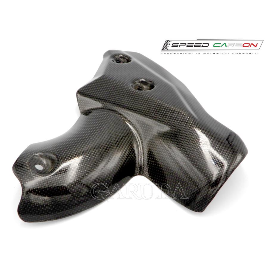 440 SPEEDCARBON エキゾーストガード DUCATI Streetfighter1098/848