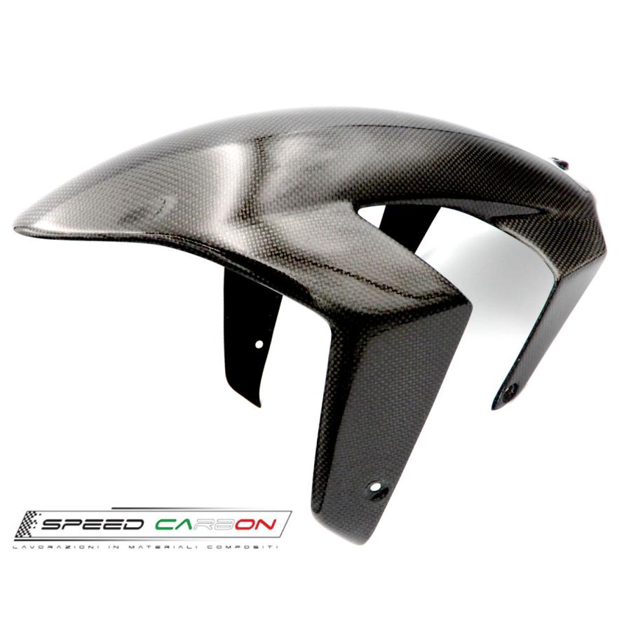 210 SPEEDCARBON フロントフェンダー DUCATI 999/749 : GARUDA ONLINE