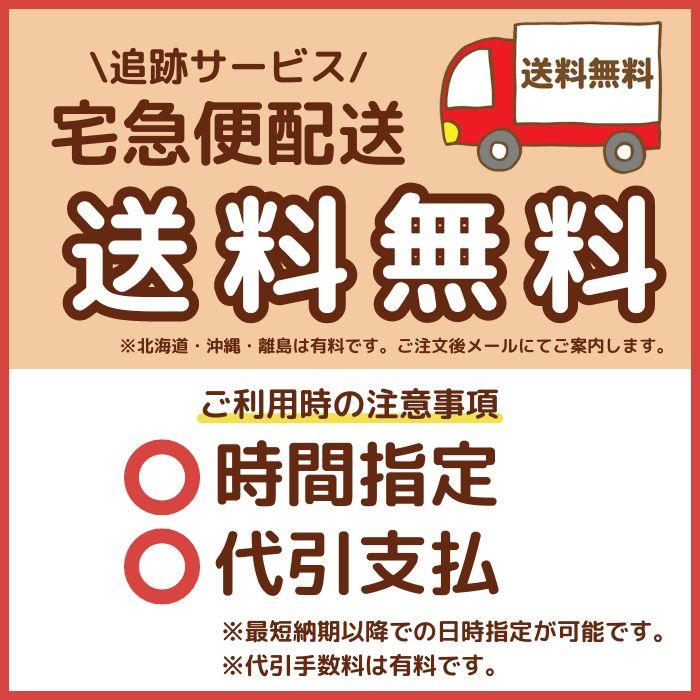 愛知時計電機 【2026年製造】愛知時計電機 新コスモス電機製 AG-41SD-L