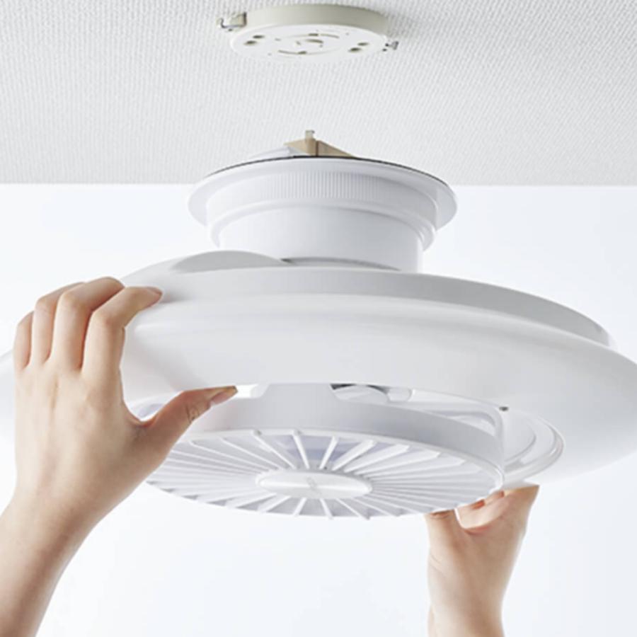 DOSHISHA（ドウシシャ） 【ノンストップで話題！】DOSHISHA DCC-SW08EC