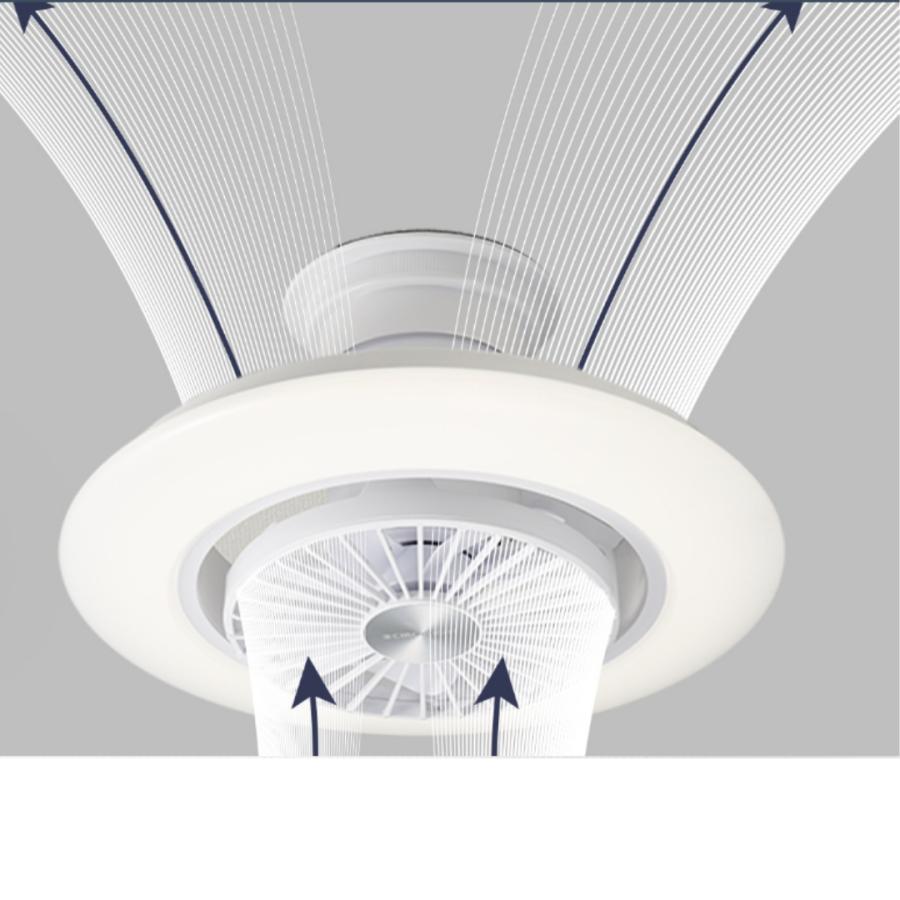 DOSHISHA（ドウシシャ） 【ノンストップで話題！】DOSHISHA DCC-SW08EC