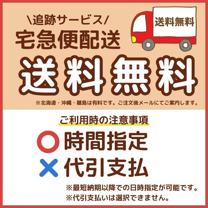 リンナイ（Rinnai） 業務用ガス高速オーブン 予備オーブン網 RCK-10AS