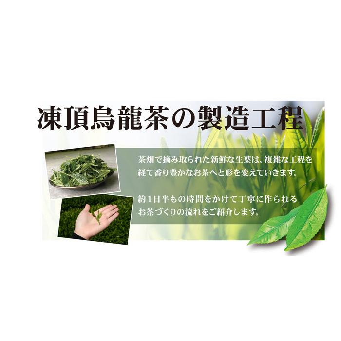 雅正庵 凍頂烏龍茶 台湾 茶葉 150g 鉄観音茶入り 中国 中国茶 ブレンド