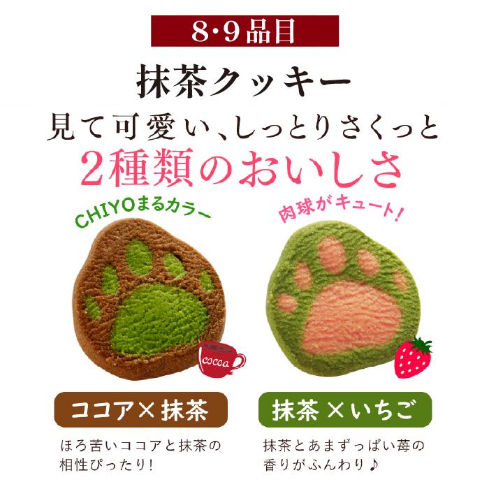 【ヤフショセット販売】【ヤフショ限定】 ギフト お菓子 焼き菓子 9点 詰め合わせ 抹茶スイーツ バームクーヘン フィナンシェ マドレーヌ クッキー 個包装 出産内祝い お返し お祝い | 雅正庵 | 08