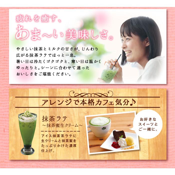 雅正庵 抹茶ラテ 業務用 パウダー 抹茶 粉末 500g 静岡県産 抹茶 ラテ