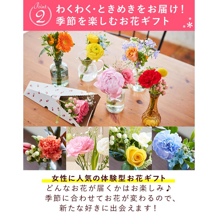 母の日 プレゼント スイーツ 花 抹茶スイーツ ギフトカード バームクーヘン 抹茶バウムクーヘン 花とスイーツ カーネーション 最大58 Offクーポン