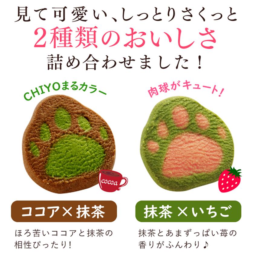 大きな茶色ステッチリボンと抹茶色の苺のピアス♡和菓子 抹茶とあんこをイメージして 雅正庵 退職 お菓子 詰め合わせ お返し 抹茶スイーツ お年賀 御年賀