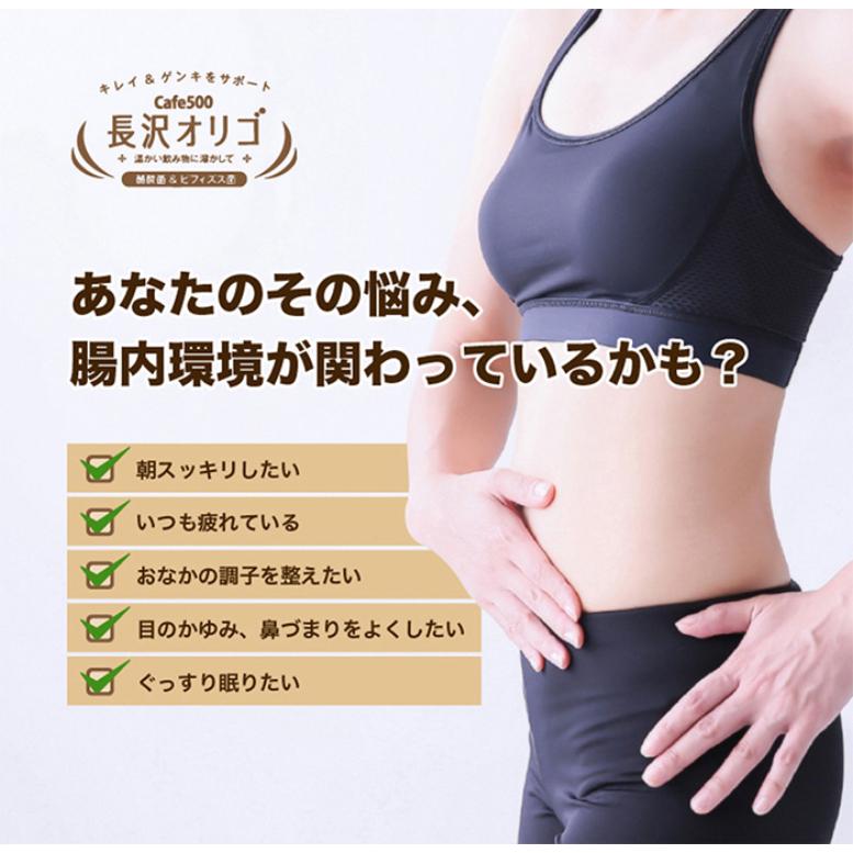 長沢オリゴ フラクトオリゴ糖 260g 2個 オリゴ糖 粉末 長沢 長沢オリゴ フラクトオリゴ糖 260g 2個 オリゴ糖 粉末 長沢